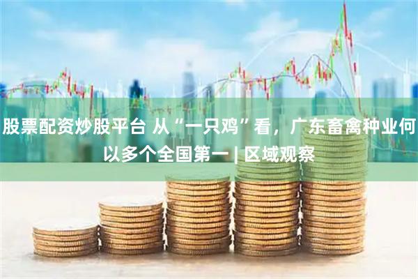 股票配资炒股平台 从“一只鸡”看，广东畜禽种业何以多个全国第一 | 区域观察