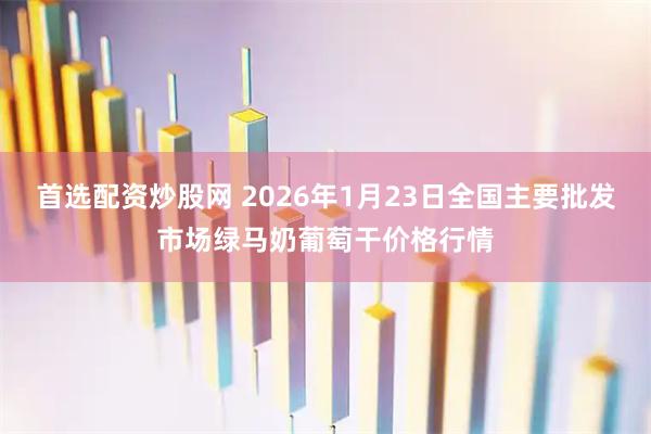 首选配资炒股网 2026年1月23日全国主要批发市场绿马奶葡萄干价格行情
